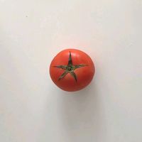 tomato_abc