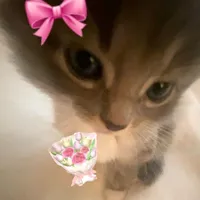 original sound - 1alwyss.u