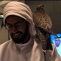الصوت الأصلي
