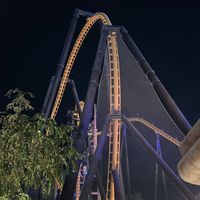 ما اسامح الي يصور بدون فولو