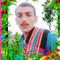 salaho.dinyousafani