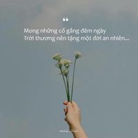 nhạc nền - Phương9193