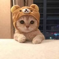 dani_cristina48