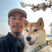 nhạc nền - Tuấn Râu