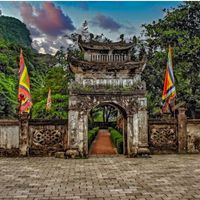 pikamin41