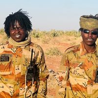 الصوت الأصلي