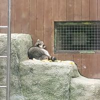 user3812329181201