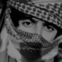 original sound - zlz713