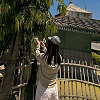 sadikshaxettri2