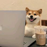 เสียงต้นฉบับ - ฝากใจไว้ในตะกร้า🩷🍀