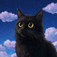 gato.negro1111