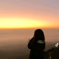 lalita.dhami247