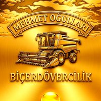 orijinal ses