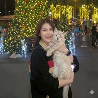 faii_pimpakan