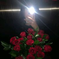 vina55550