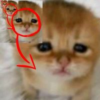 mtskfnn