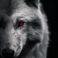 original sound - oo18ss