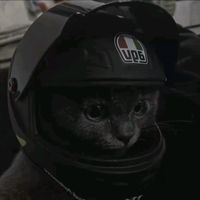 suara asli - bipbiproom🚔