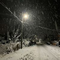 ninngen_032