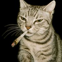 original sound - John//Preset🎟️