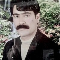 6565yelmaz