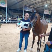 luaydajani7