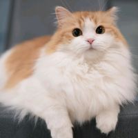 เสียงต้นฉบับ - อยากมีคนดูจังครับ