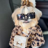 princessthekikaydog
