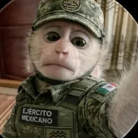 original sound - mynortrev178