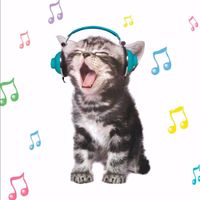original sound - tmyf 🎧