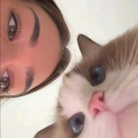 cfaida_