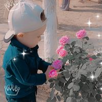 muhammetnazar2211