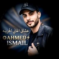 ahmed2020asmeil