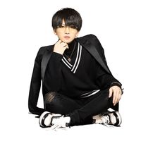 aishi_stinger