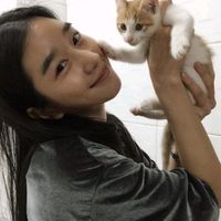 lyly_dorama