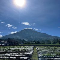suara asli - sottoayam