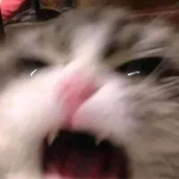 original sound - dhillonxgill