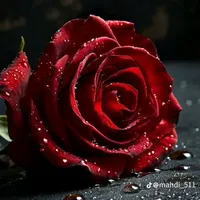 original sound - abdalnasaljreat