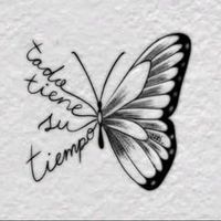 estrella.perez5857