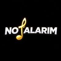 orijinal ses
