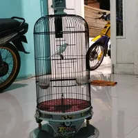 original sound - cak8149