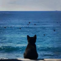 nhạc nền - 高一学生