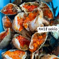 ketambakaukotakinabalu