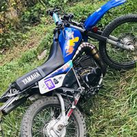 scrappydootienda