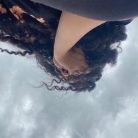 pinipa__219