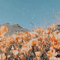 melon.track