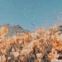 original sound - melon.track