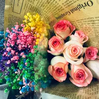 original sound - skyfang098