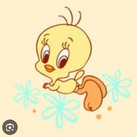 user80800661981964