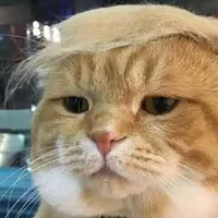 original sound - negative703